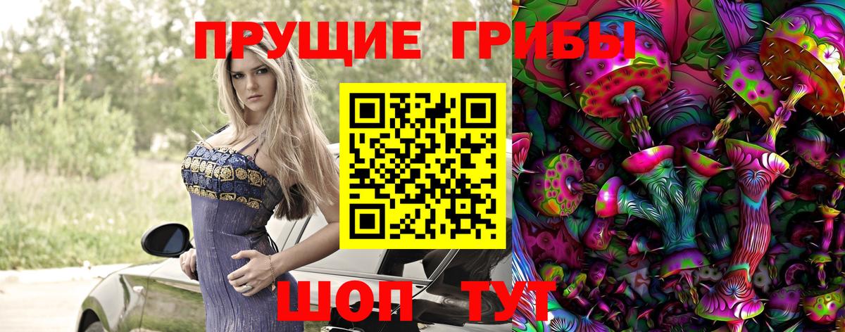 Псилоцибиновые грибы мухоморы Чебоксары