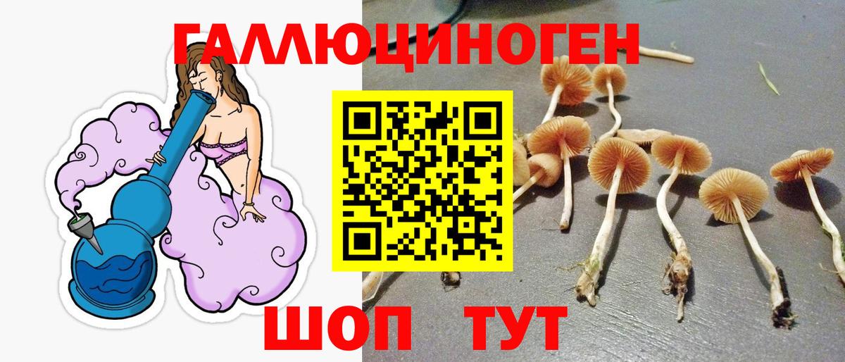 наркотики  Галлюциногенные грибы мухоморы  Чебоксары  Вход с VPN  Галлюциногенные грибы мухоморы 